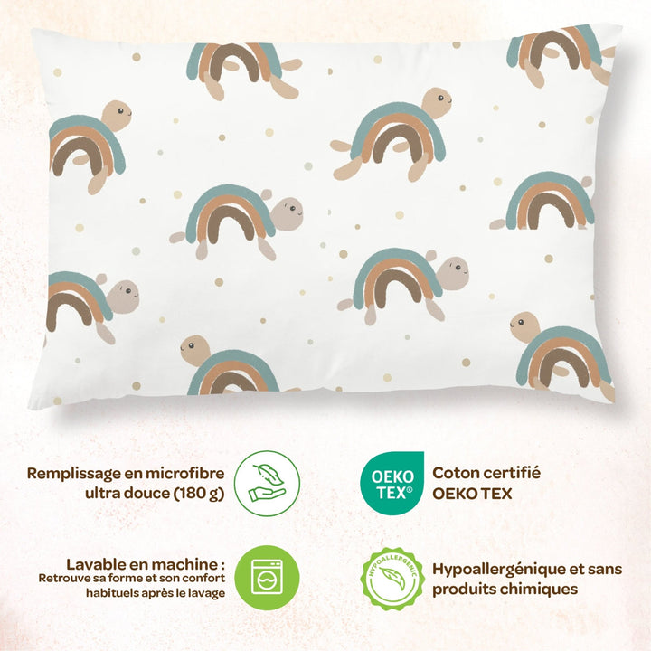Pillow with Case